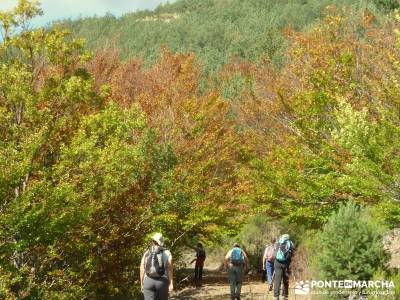 Parque Natural de Tejera Negra - Cantalojas - Guadalajara - Sierra de Ayllón;calidad de viajes